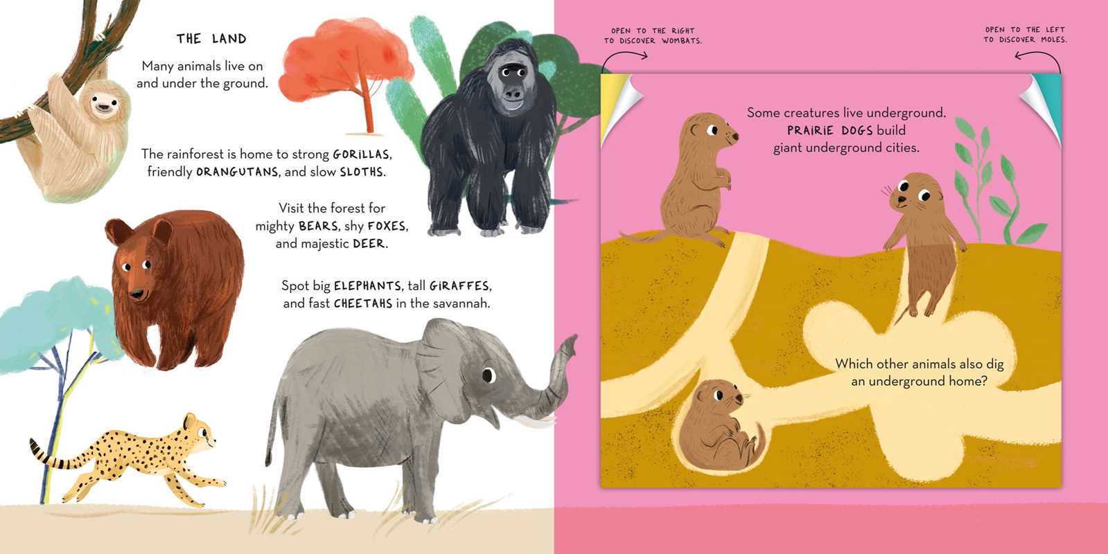 Magic Folding Flaps - Animals by Little Genius Books