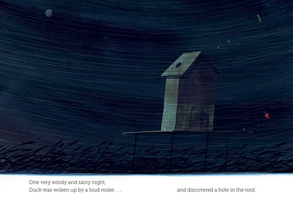 Duck Who Didn't Like Water by Steve Small