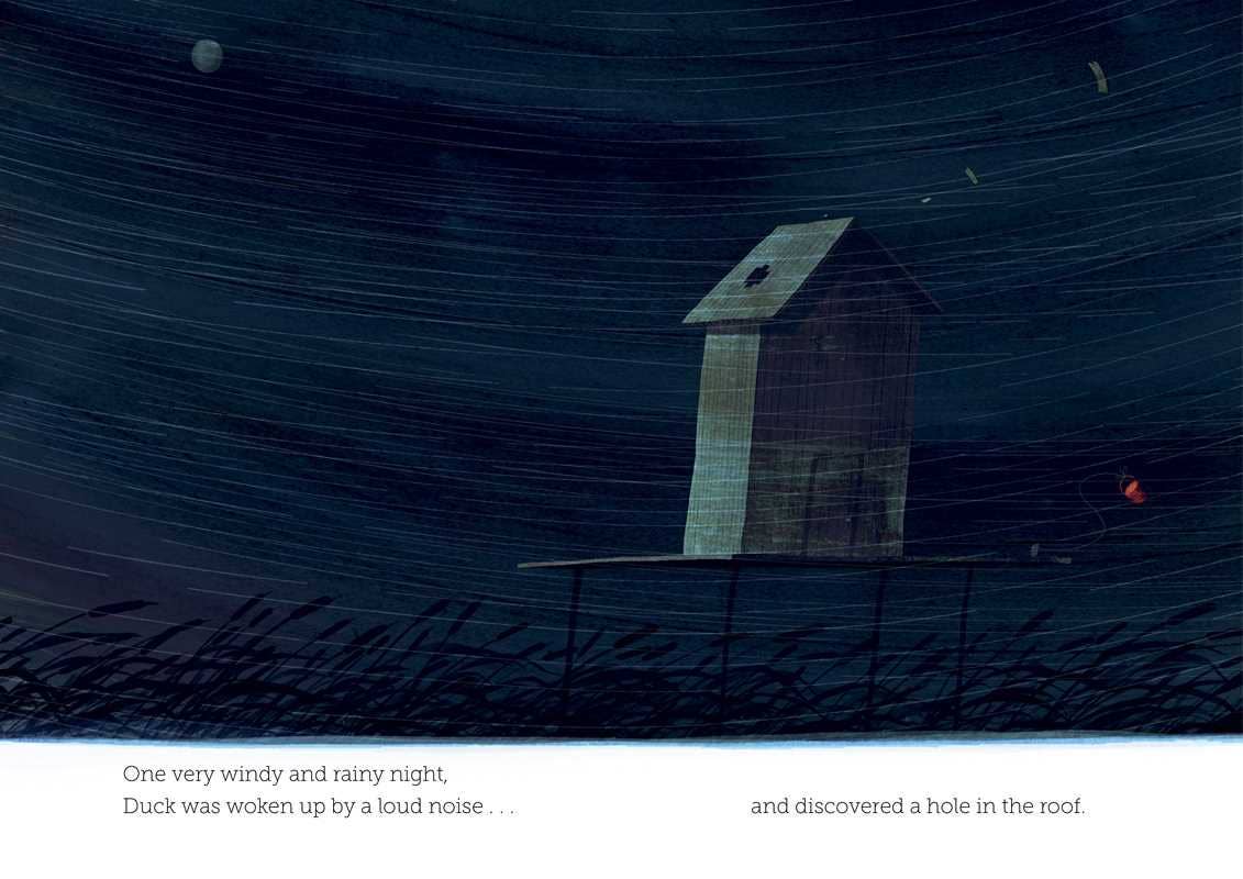 Duck Who Didn't Like Water by Steve Small