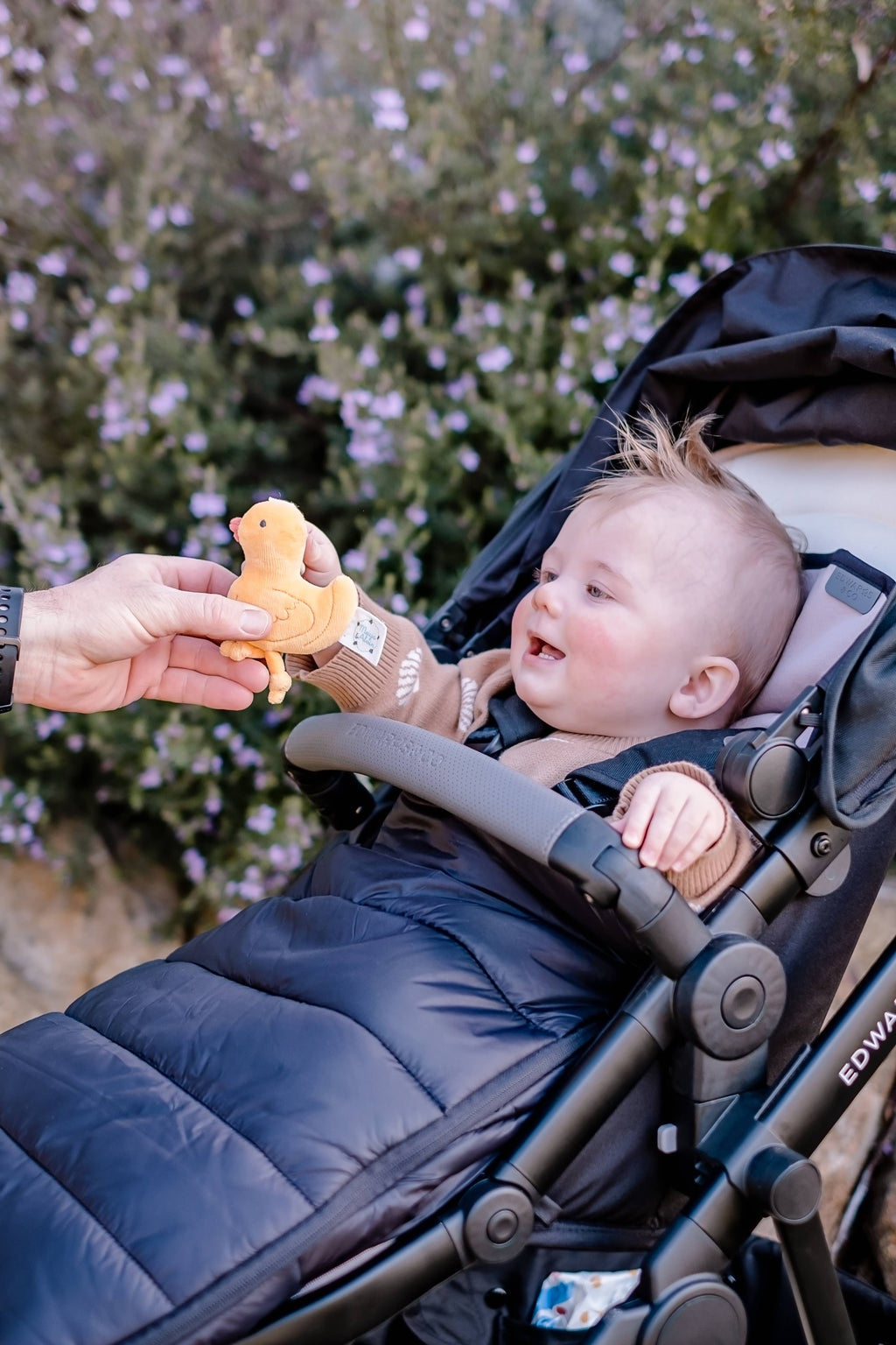 Tara the Duck Tag Along Pram Toys