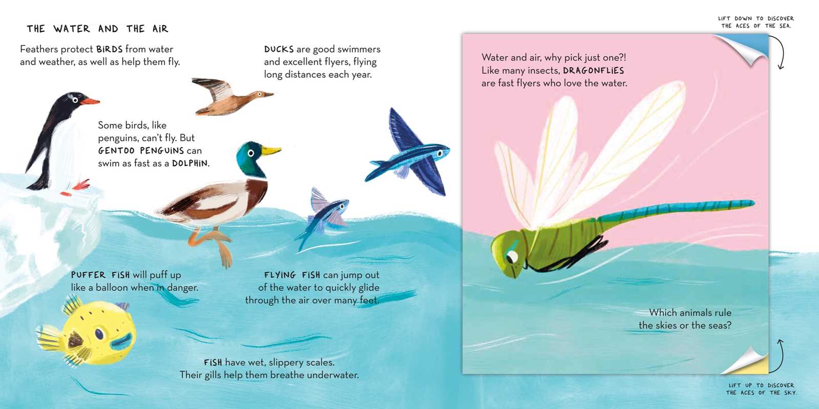 Magic Folding Flaps - Animals by Little Genius Books