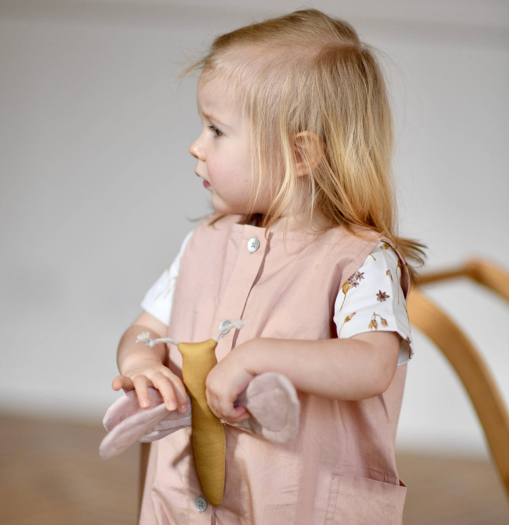 Butterfly Activity Baby Toy - Misty Rose