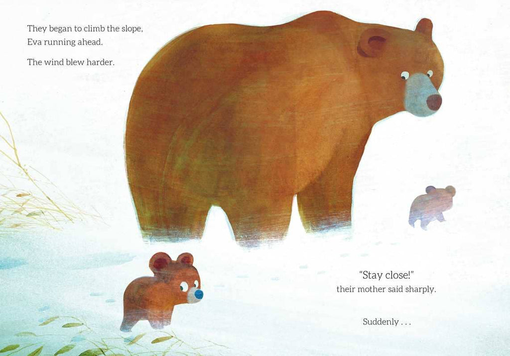 Brave Little Bear by Steve Small