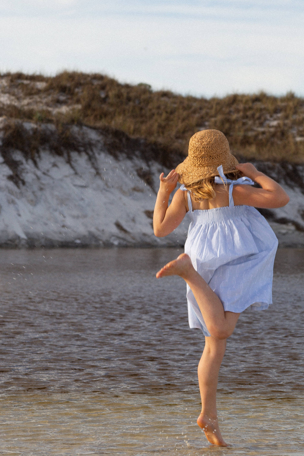 Smocked Dress in Blue Fish