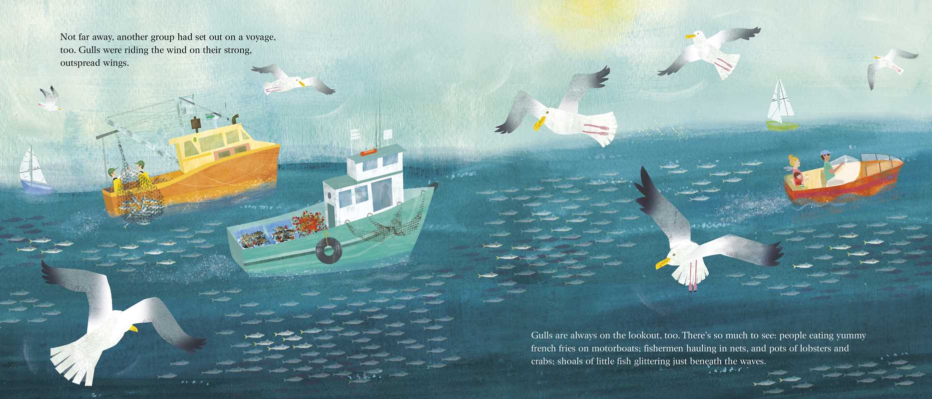 Seagull and the Sea Captain by Sy Montgomery