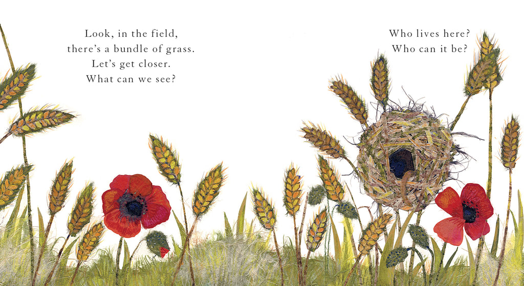 Who Lives Here? by Alexandra Milton
