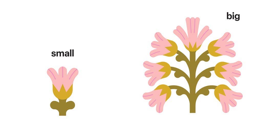 Spring Street Touch and Trace: Opposites by Boxer Books