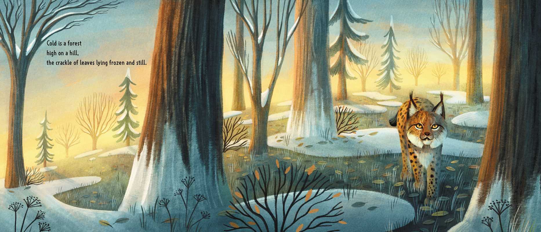 Cold by Tim McCanna