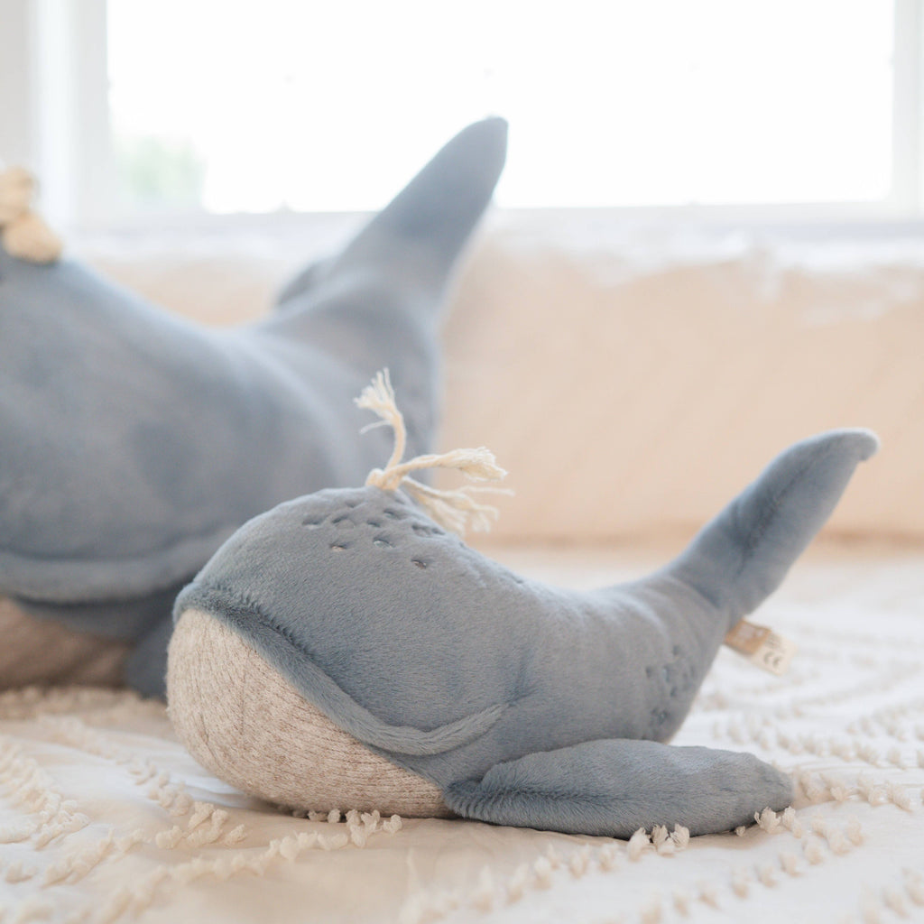 Wally the Whale