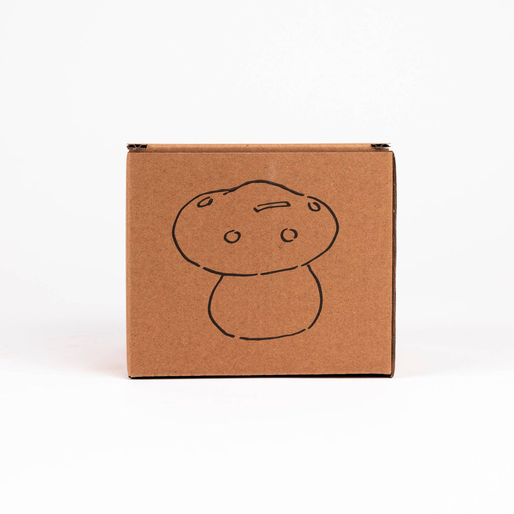 Mushroom Savings Bank: Lila