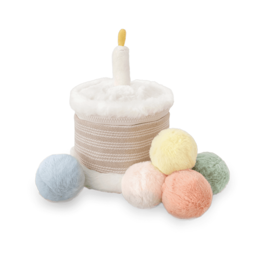 Cake & Toss Celebration Bin Set