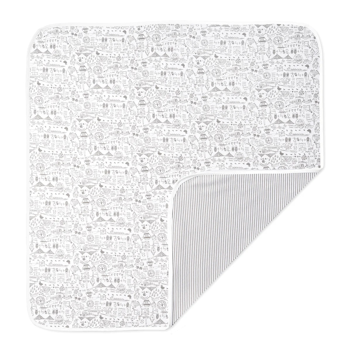 Boston Baby Blanket