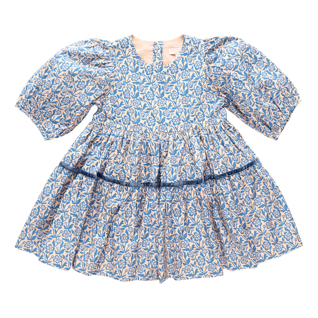 Girls Maribelle Dress - Blue Climbing Floral
