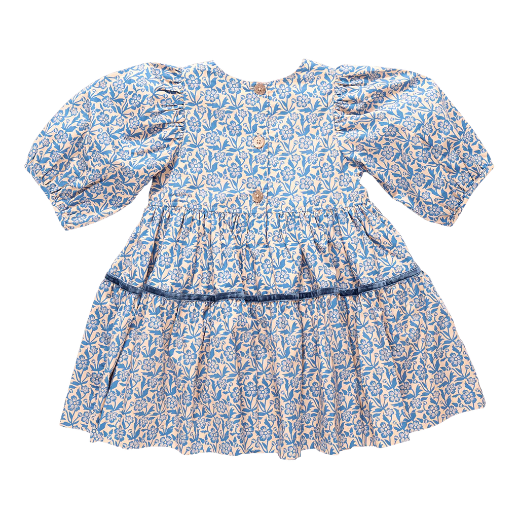Girls Maribelle Dress - Blue Climbing Floral