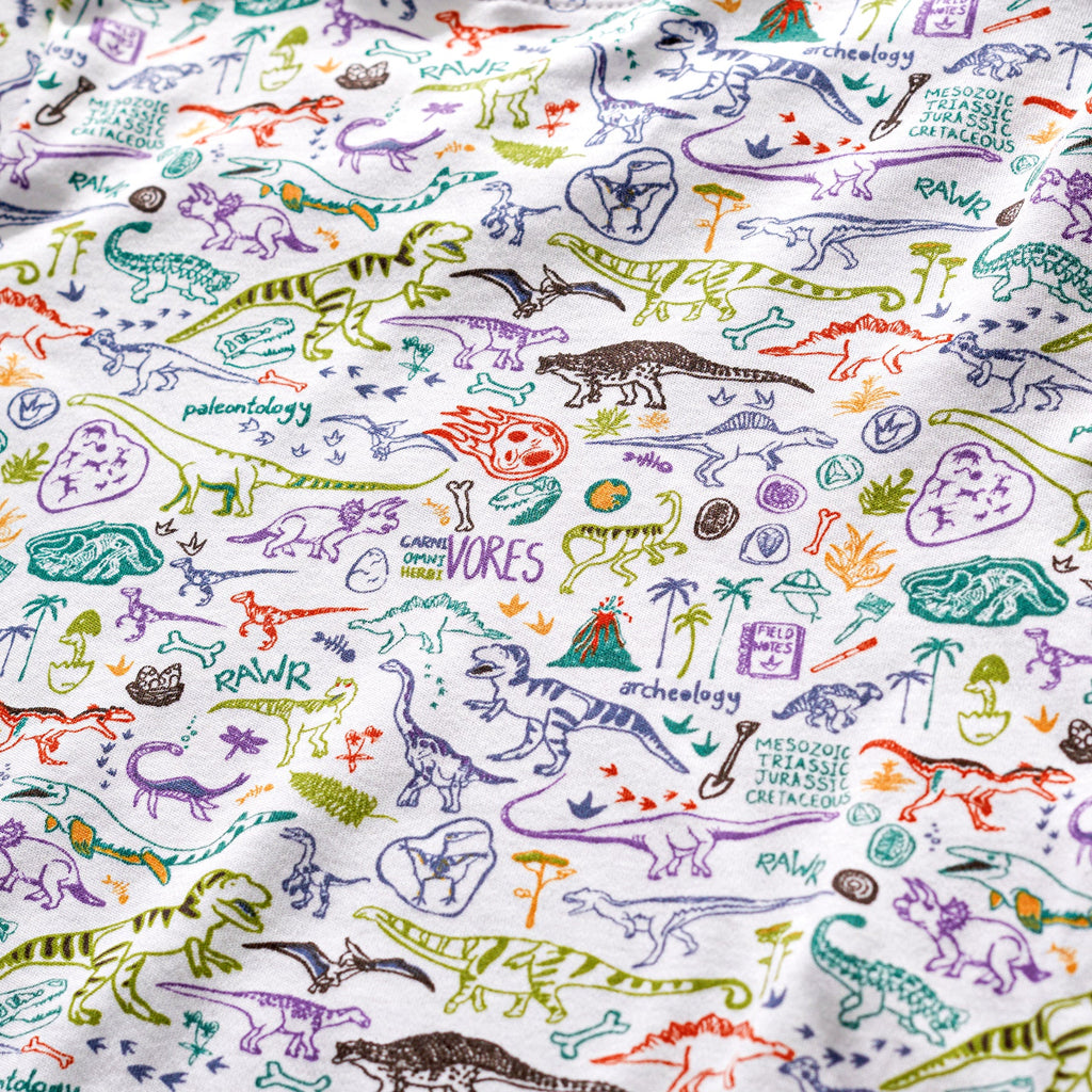 Dino Two Piece Kids Pajamas