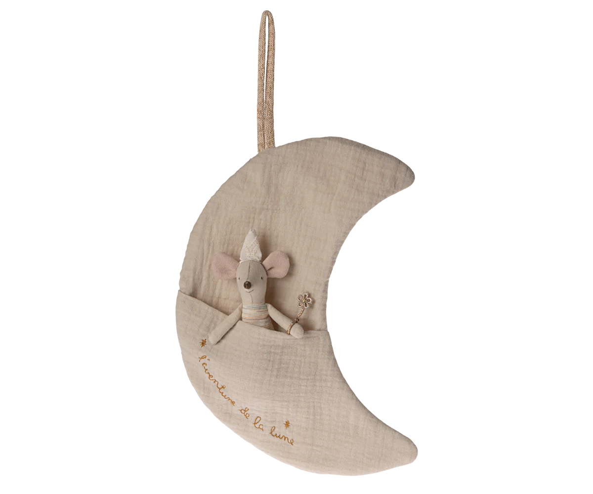 Moon, L'aventure de la lune