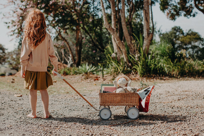 Rattan Wonder Wagon in Natural