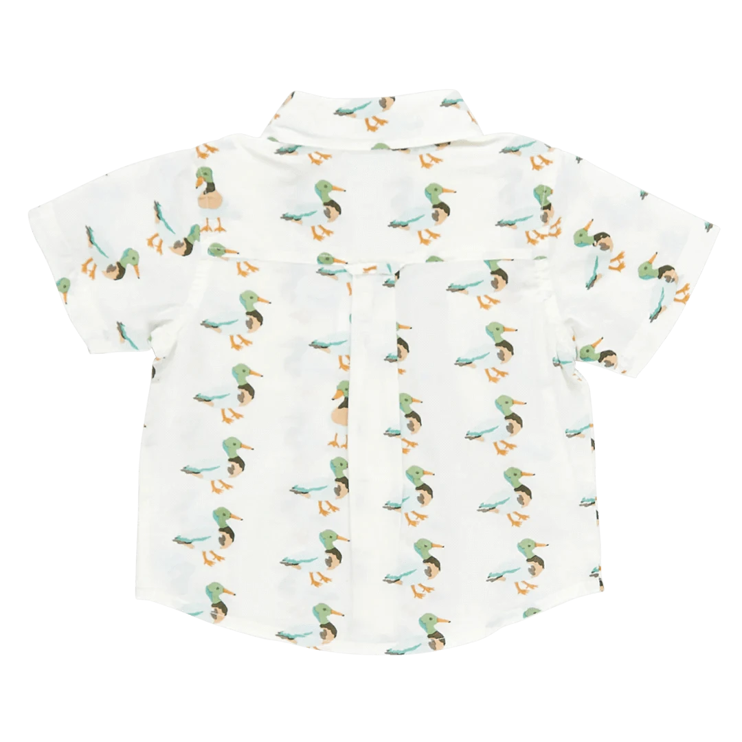 Boys Jack Shirt - Mallard Friends
