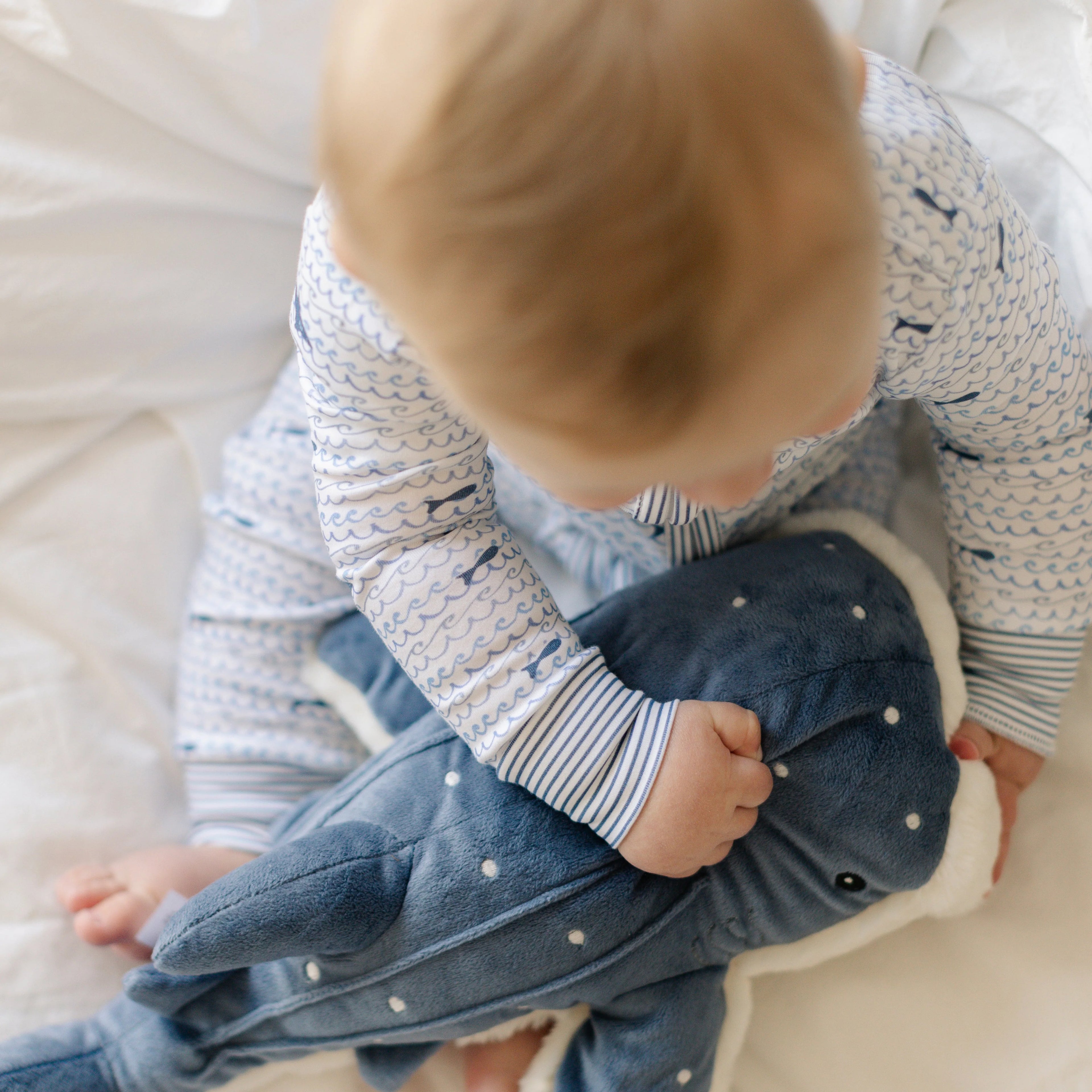 Sharks Zip Baby Onesie