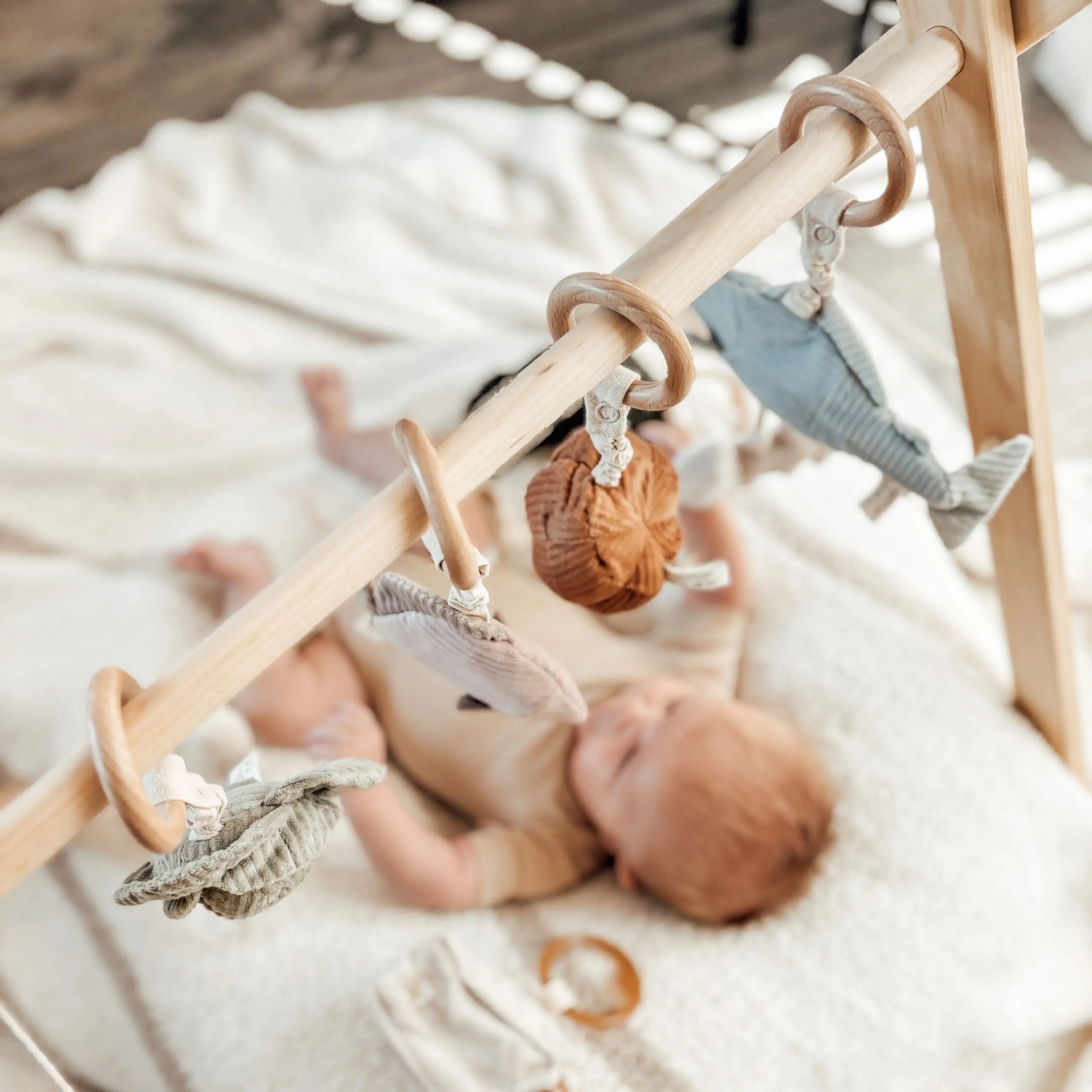 Trout Handheld Baby Rattle