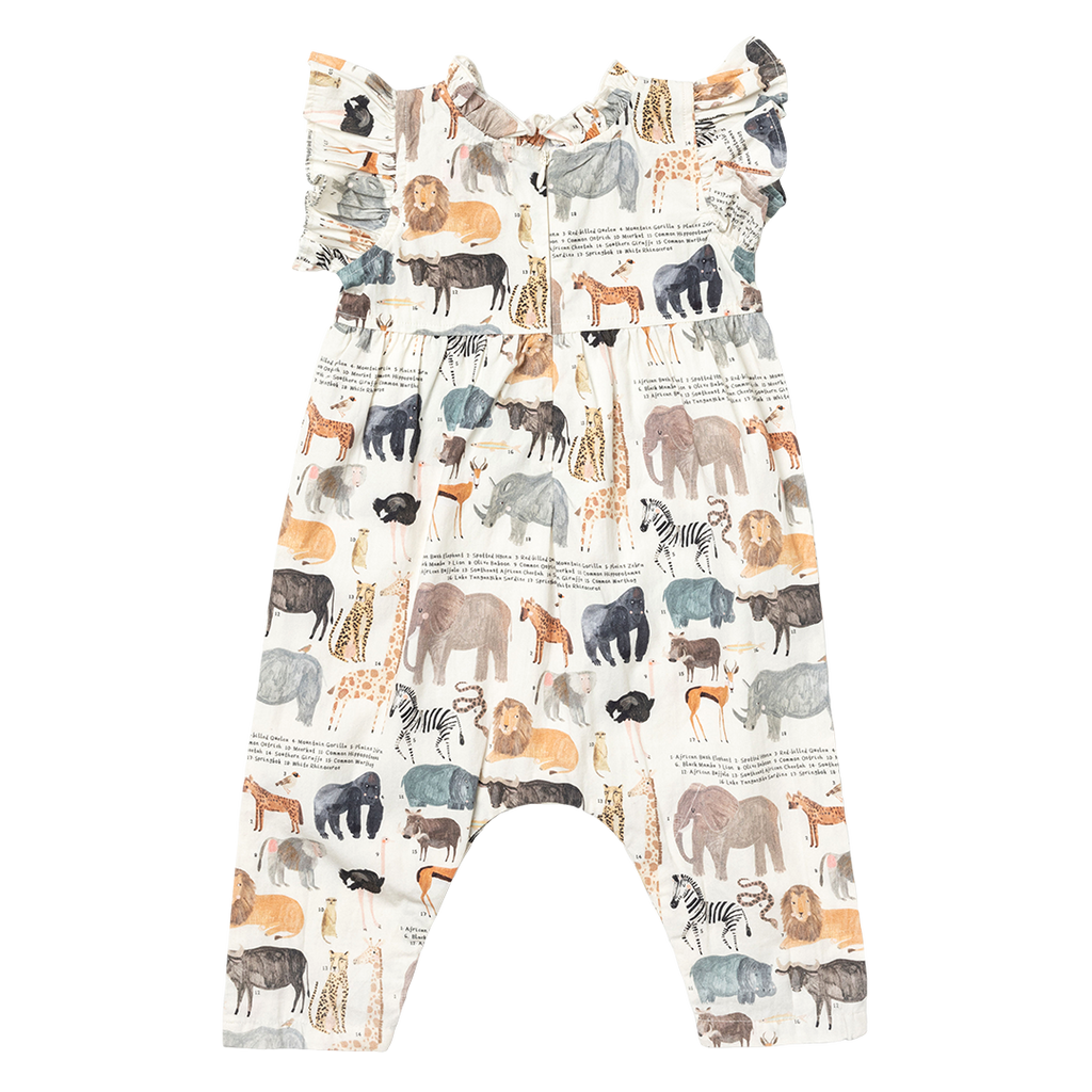 Baby Girls Jennifer Jumper - Animals of Africa