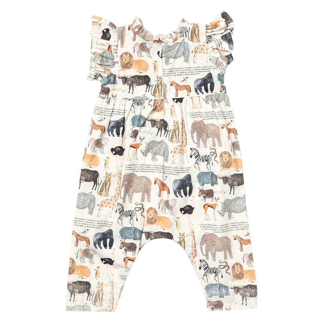 Baby Girls Jennifer Jumper - Animals of Africa