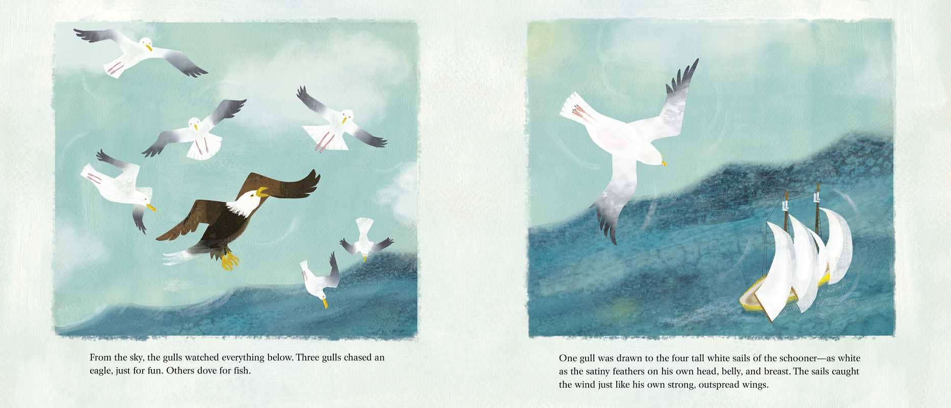 Seagull and the Sea Captain by Sy Montgomery