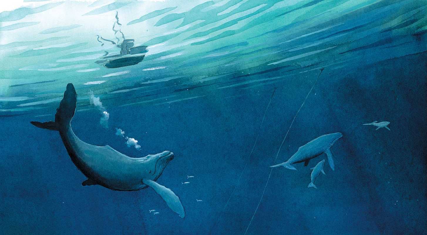 Fisherman & the Whale by Jessica Lanan