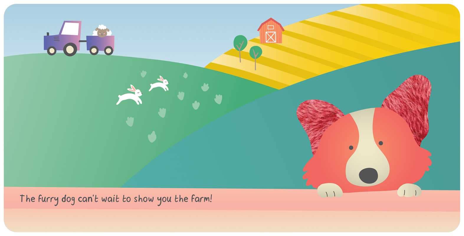 Farm Animals: My First Touch & Feel Book