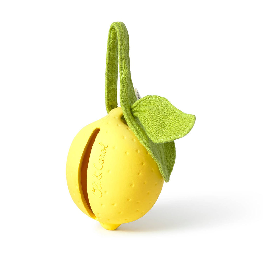 Lou the Lemon Pacifier Case