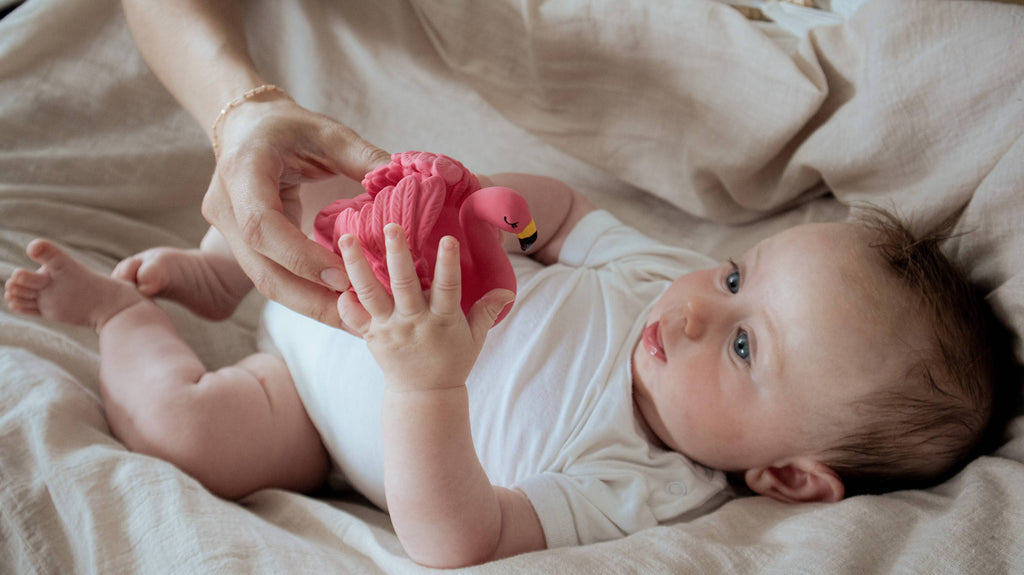 Natural rubber Bathtoy Flamingo - Pink