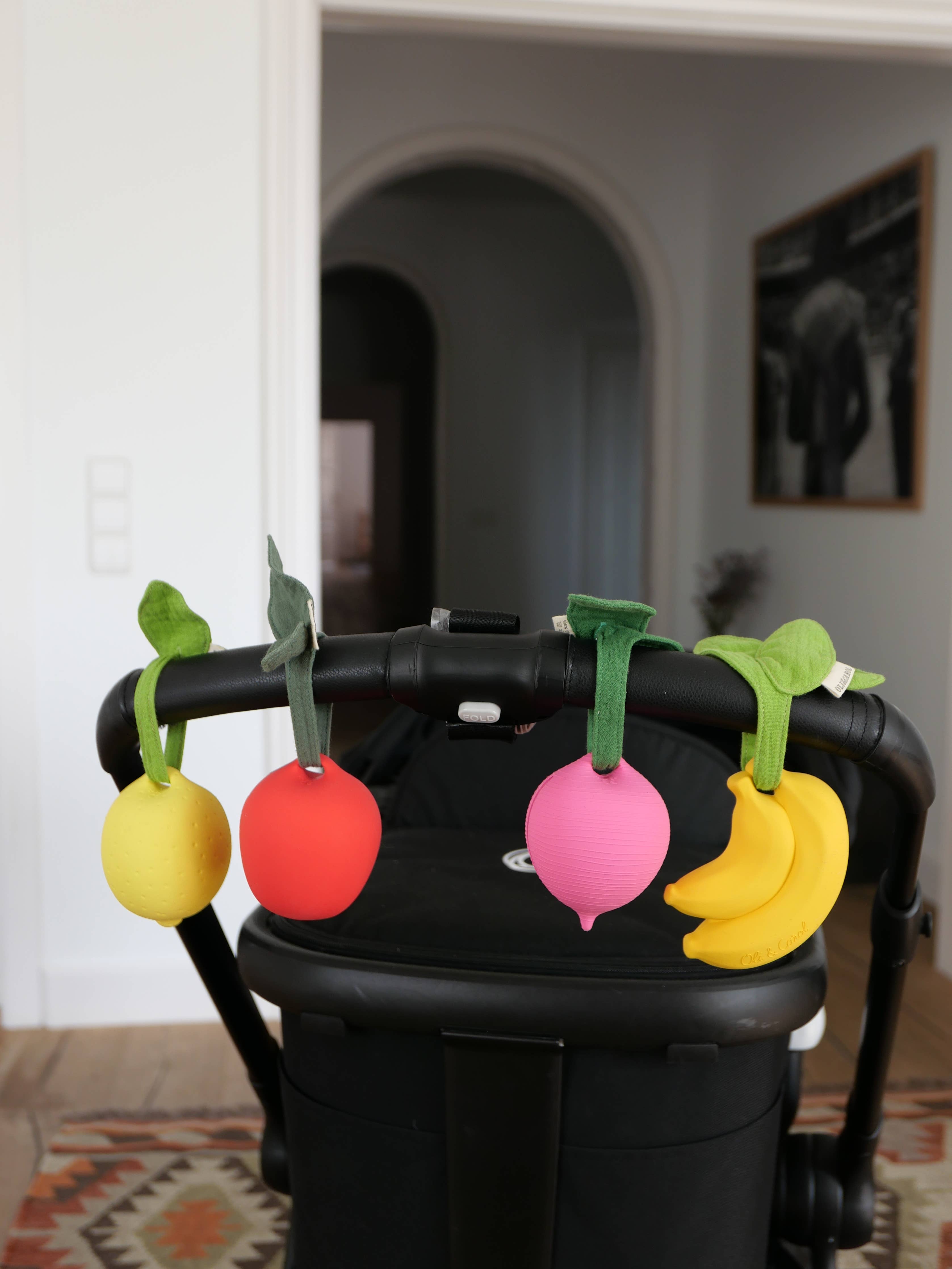 Lou the Lemon Pacifier Case