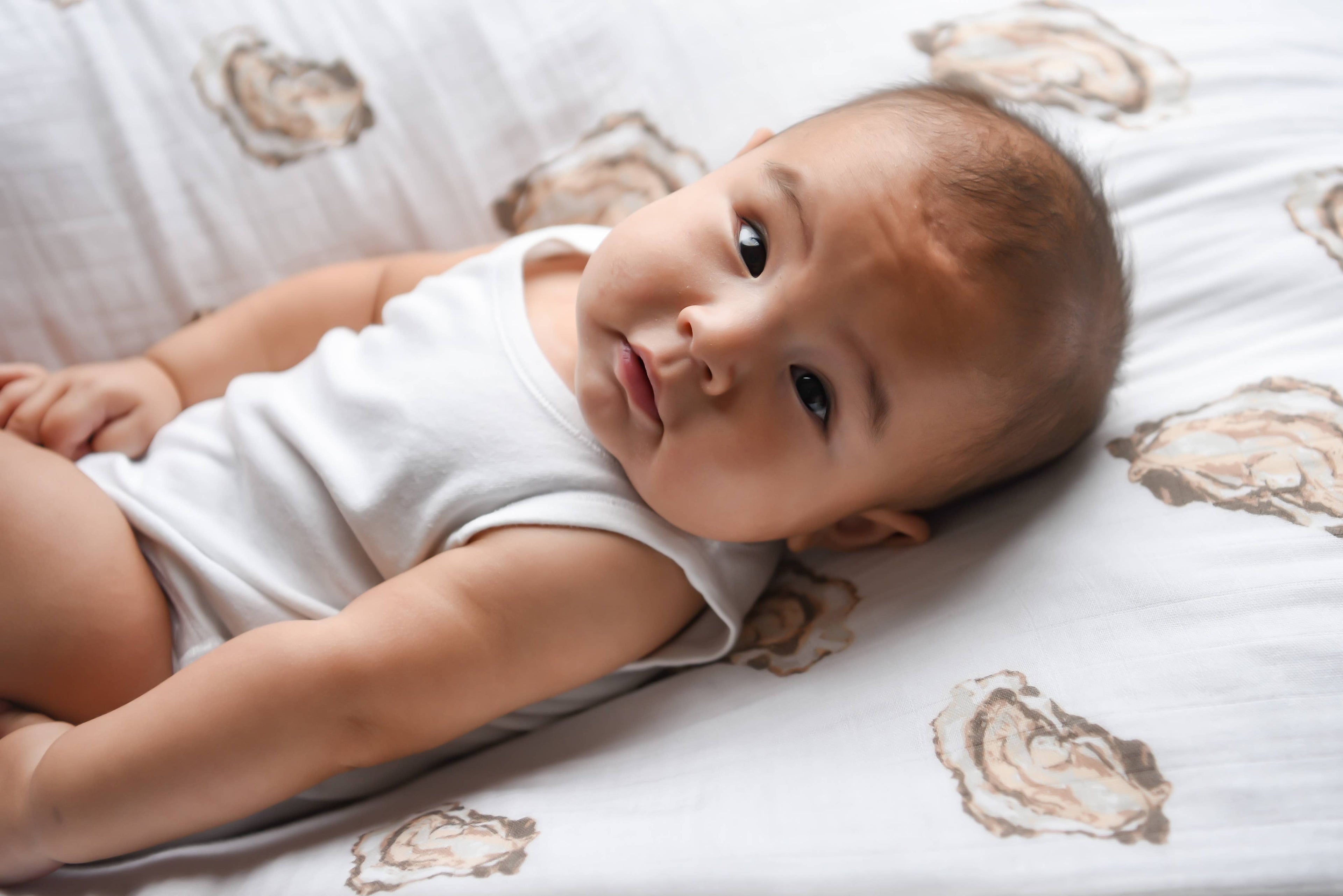 Oyster Swaddle Blanket