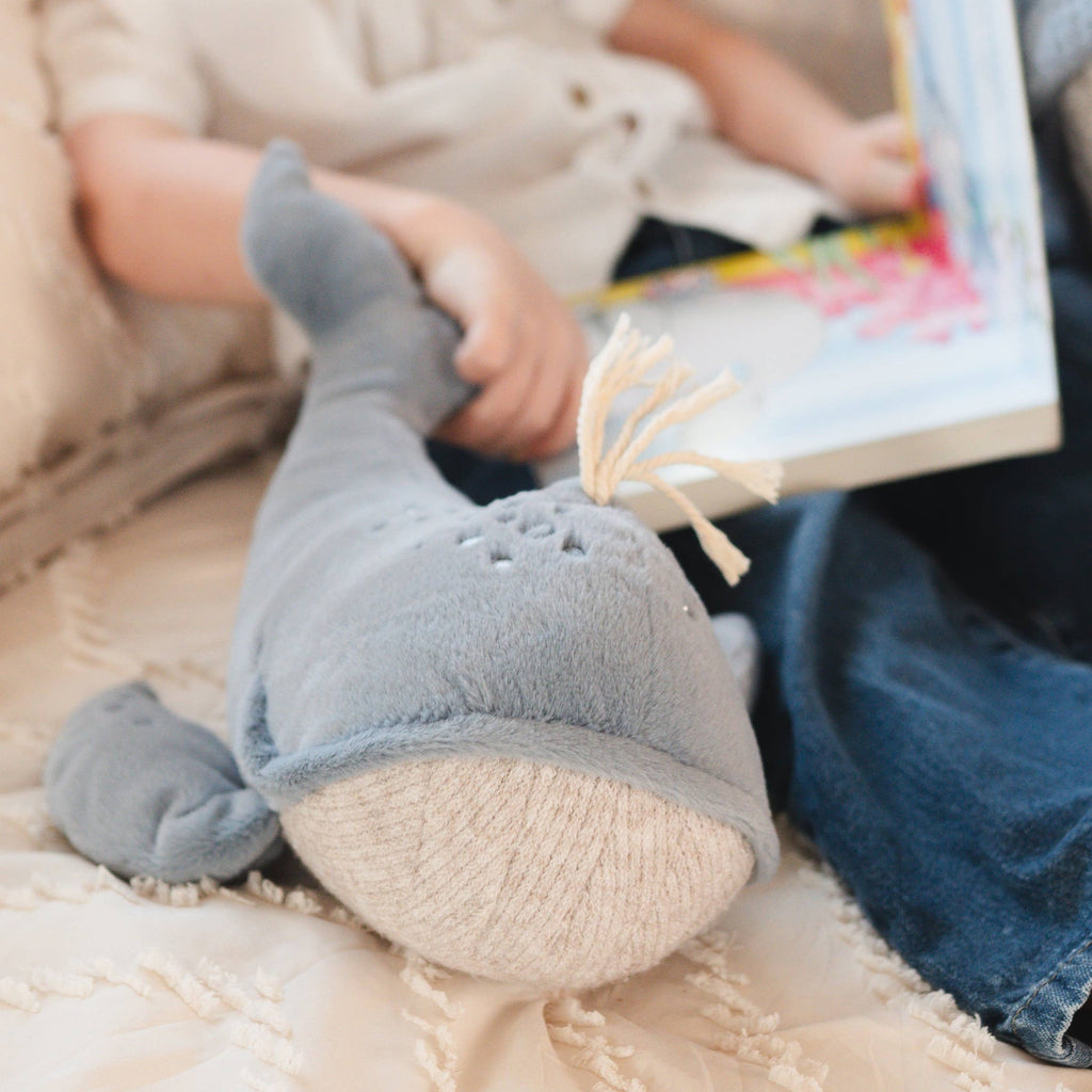 Wally the Whale