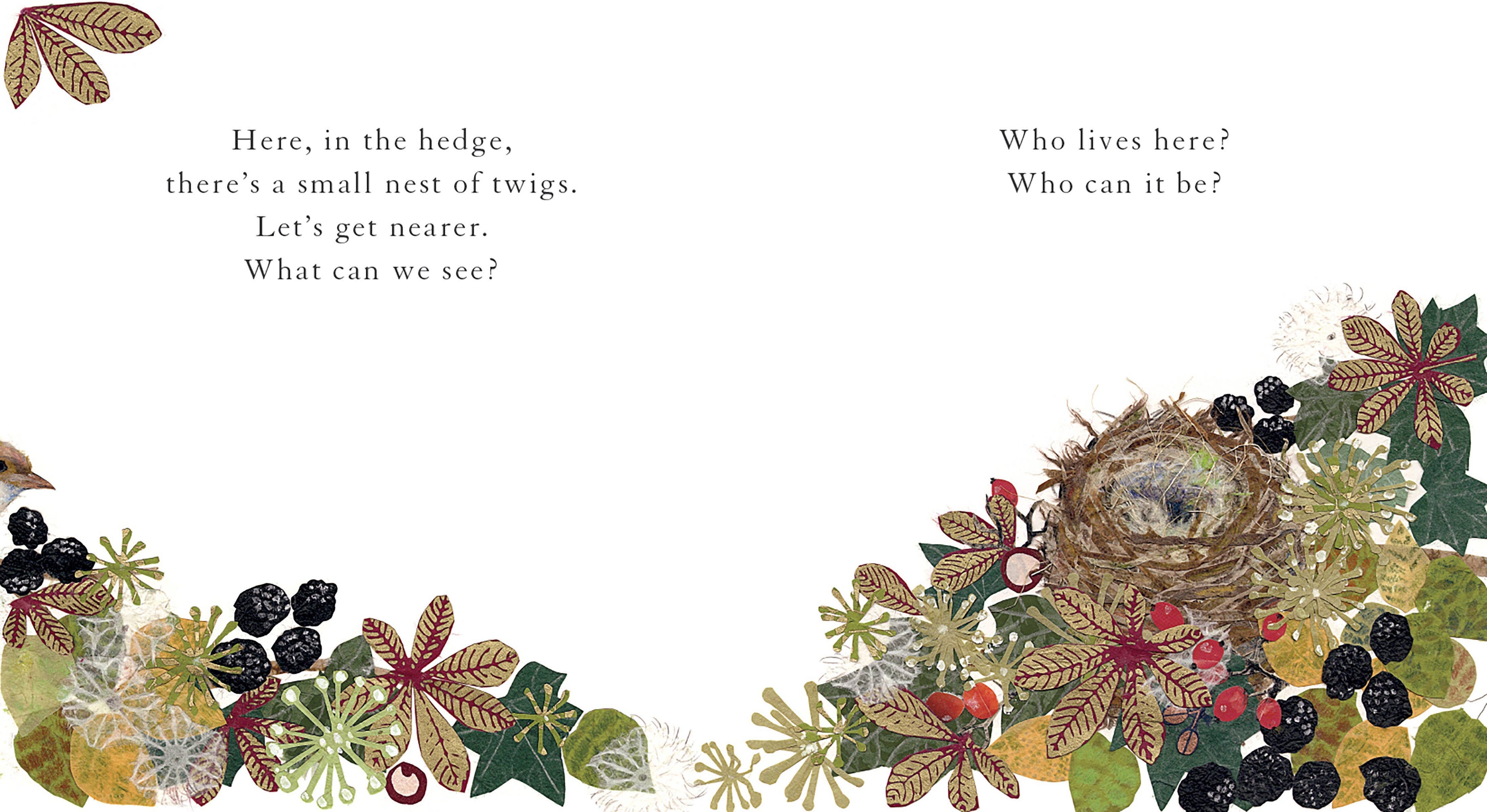 Who Lives Here? by Alexandra Milton