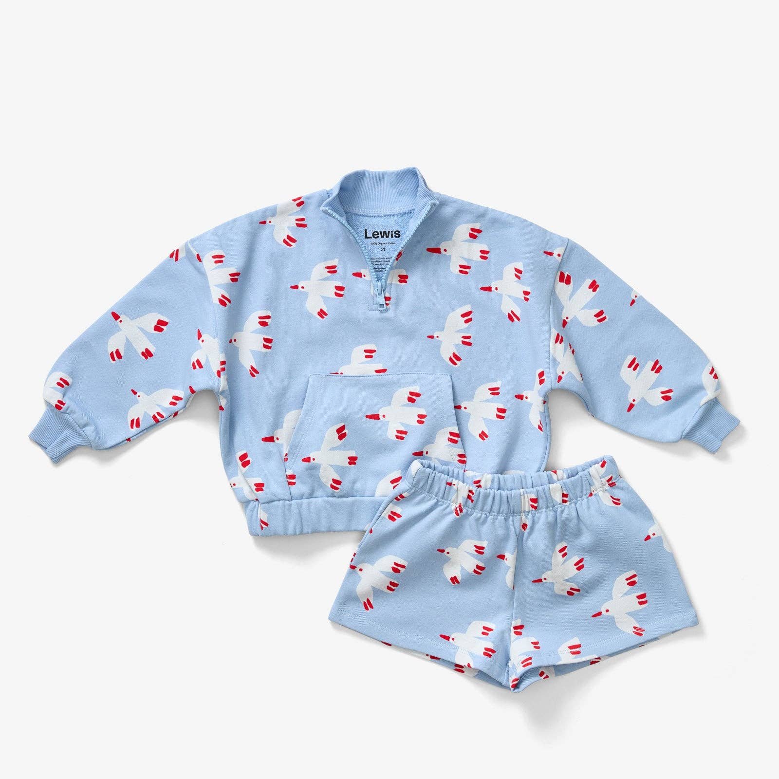 Quarter Zip - Bird | Sky