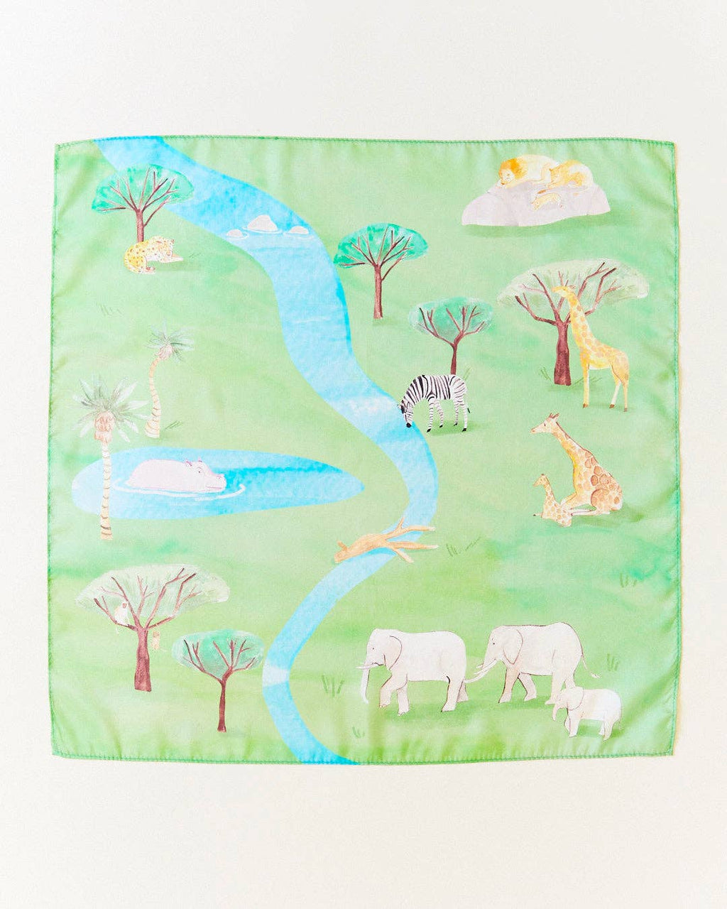 Safari Playmap - Activity Playmap Featuring Safari Animals